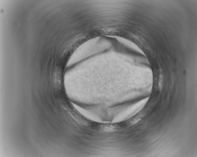 X0000061140710200512091934