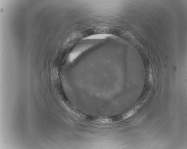 X0000061140711200512091934