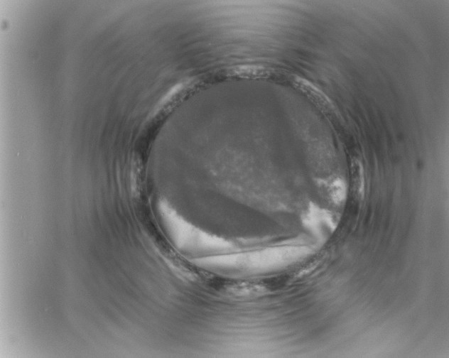 X0000061140712200512091934