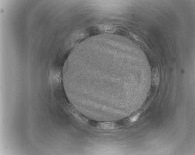 X0000061140713200512091934