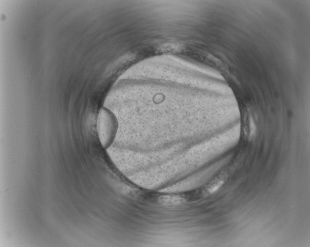 X0000061140714200512091934