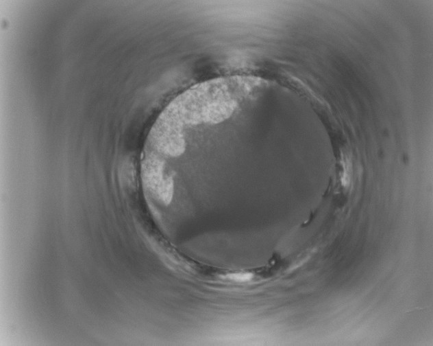 X0000061140715200512091934