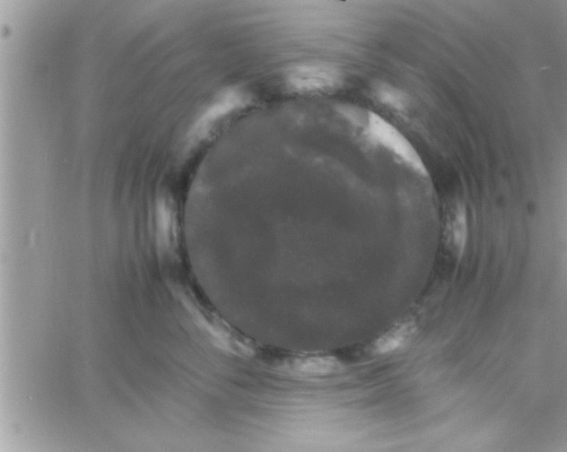 X0000061140716200512091934