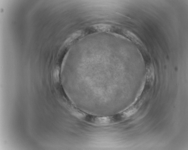 X0000061140717200512091934