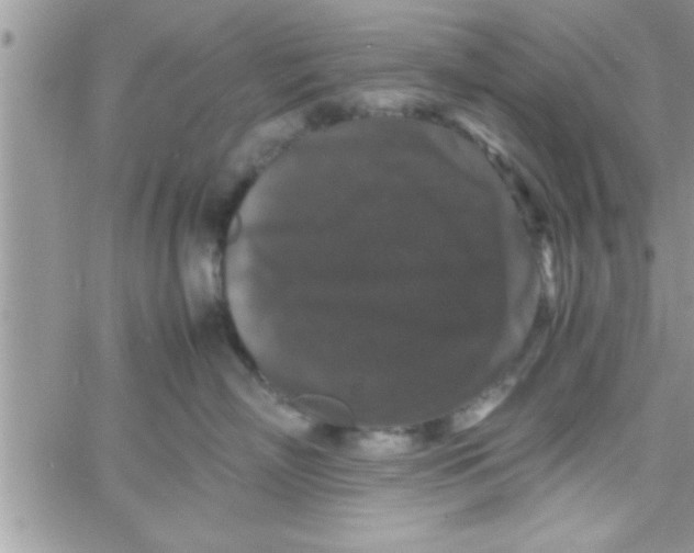 X0000061140718200512091934