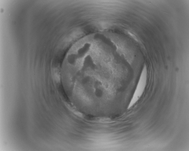 X0000061140719200512091934