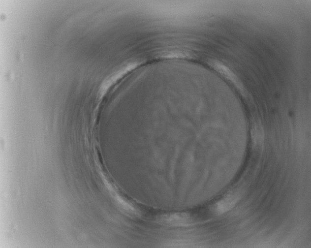 X0000061140721200512091933