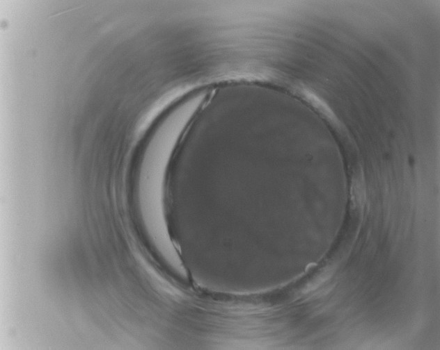 X0000061140722200512091933