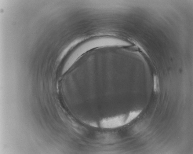 X0000061140723200512091933