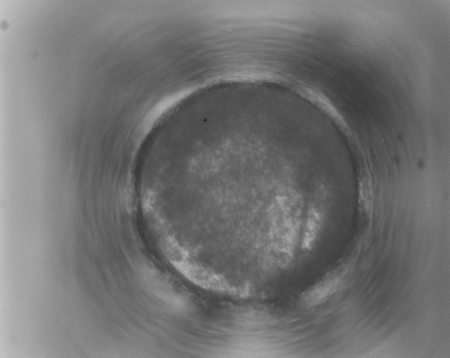 X0000061140724200512091933