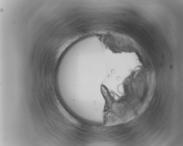 X0000061140725200512091933