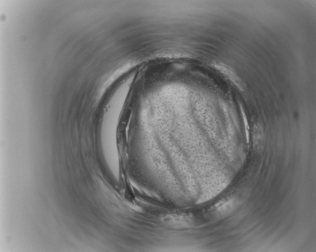 X0000061140727200512091933