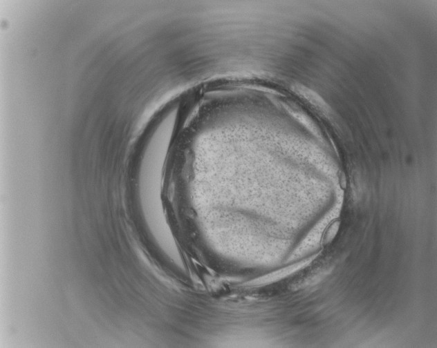 X0000061140728200512091933