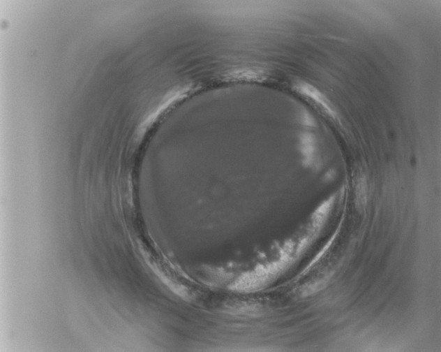 X0000061140729200512091933