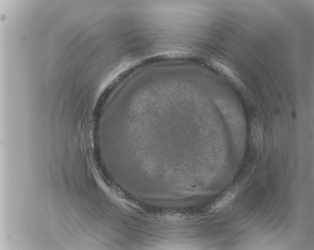 X0000061140730200512091933