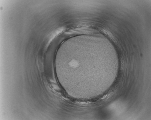 X0000061140731200512091933