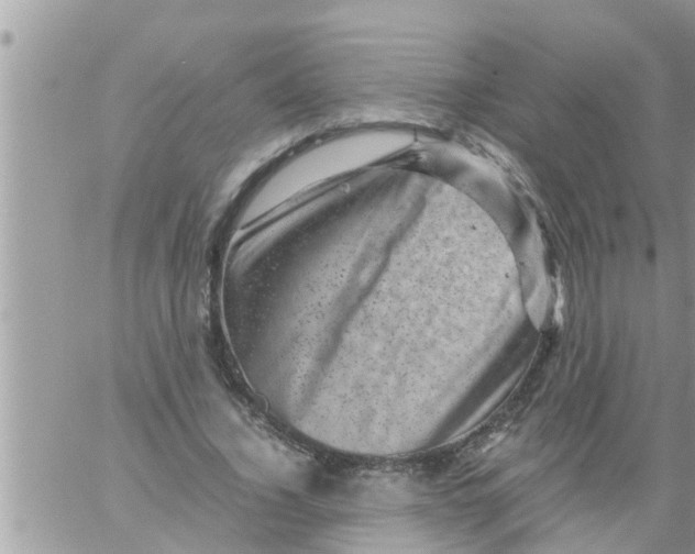 X0000061140732200512091933