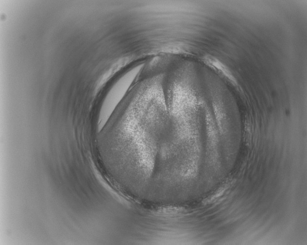 X0000061140734200512091933