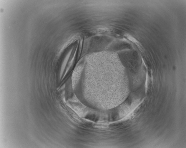 X0000061140735200512091933