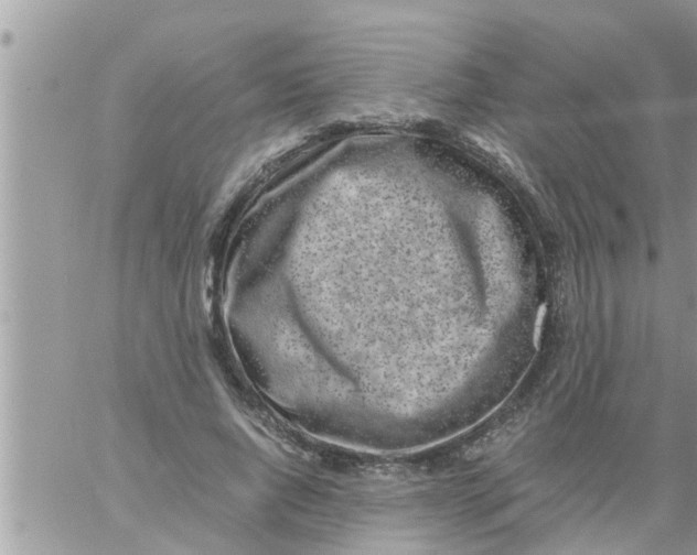 X0000061140736200512091933