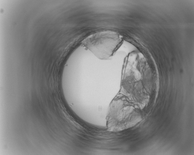 X0000061140737200512091933