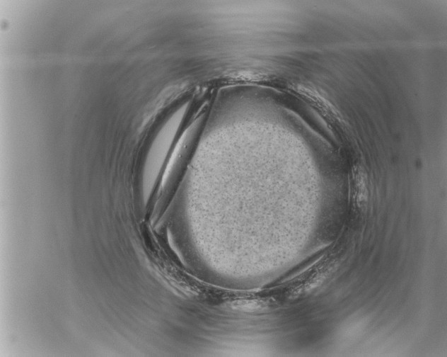 X0000061140738200512091933