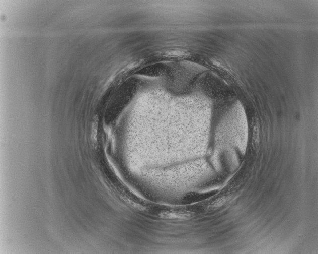 X0000061140739200512091933