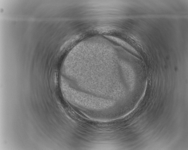 X0000061140740200512091933