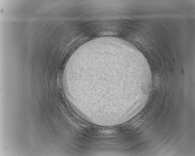 X0000061140741200512091933