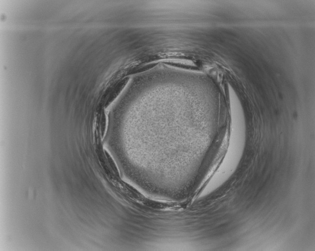 X0000061140742200512091933