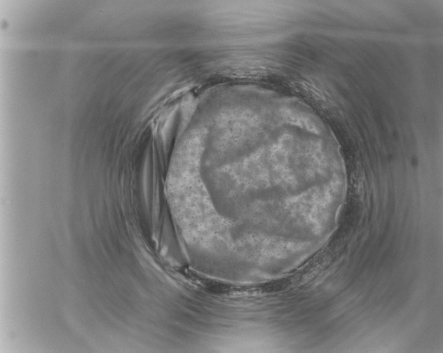 X0000061140744200512091933