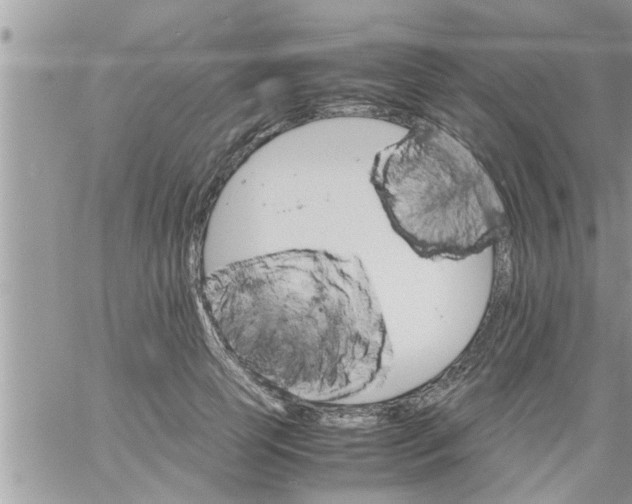 X0000061140745200512091933