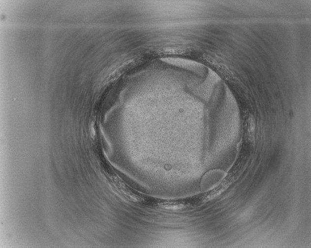 X0000061140746200512091933