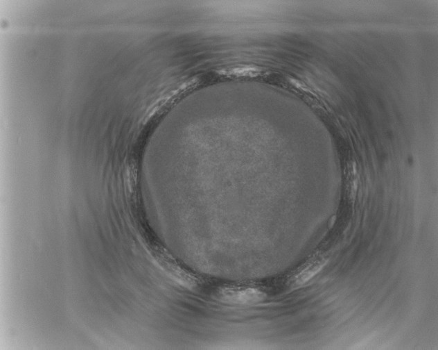 X0000061140747200512091933