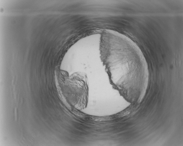 X0000061140749200512091933