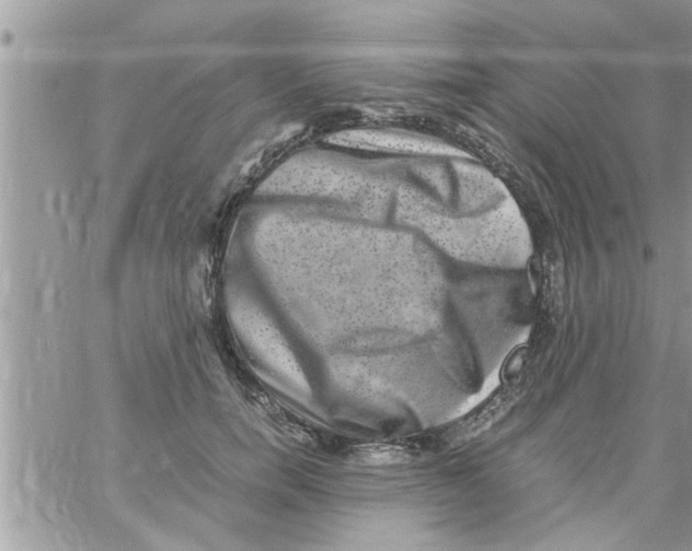 X0000061140750200512091933