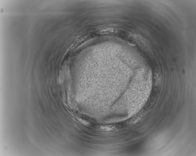 X0000061140753200512091933