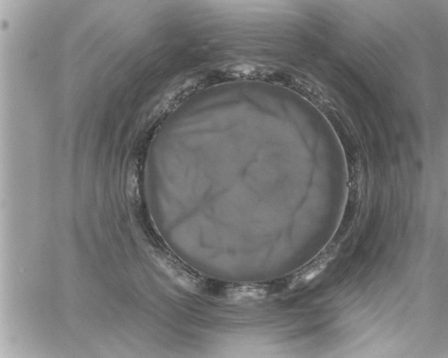 X0000061140754200512091933