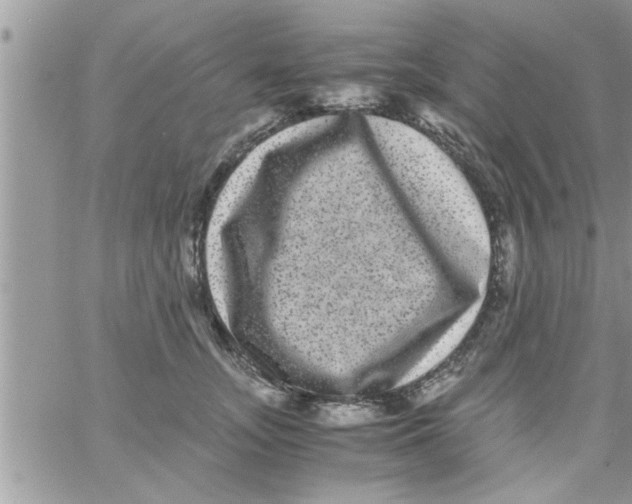 X0000061140755200512091933