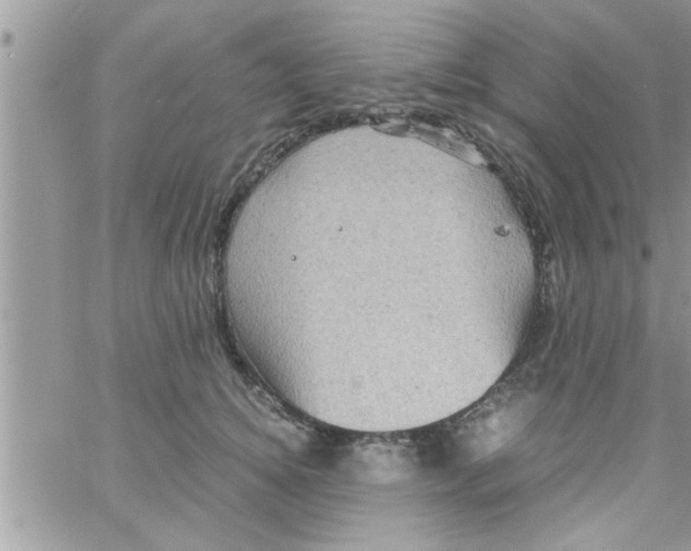 X0000061140756200512091933