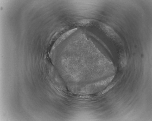 X0000061140758200512091933