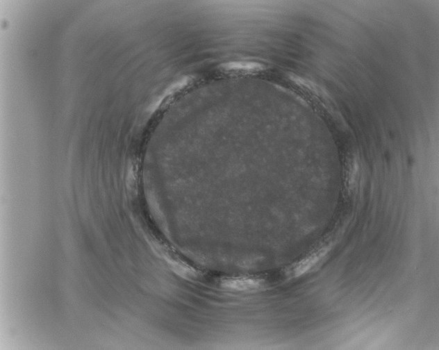 X0000061140759200512091933