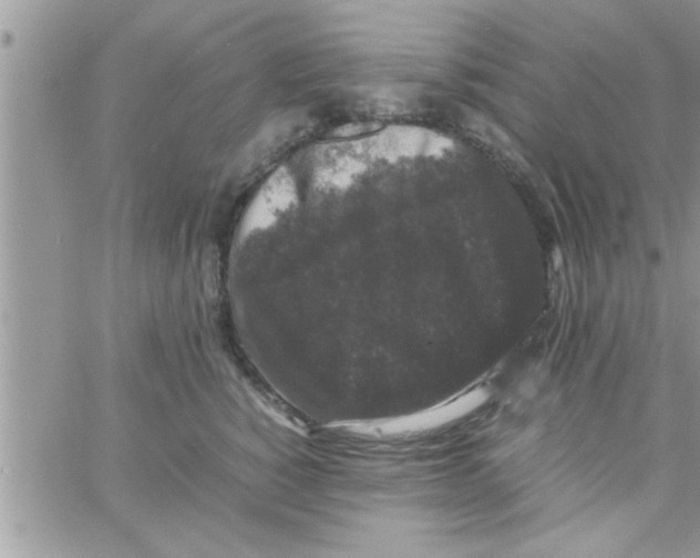 X0000061140760200512091933