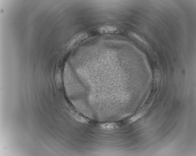 X0000061140761200512091933