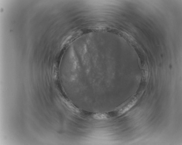 X0000061140762200512091933