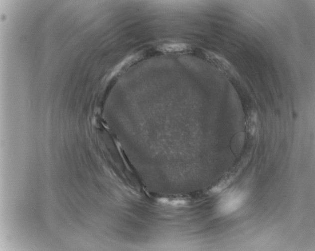 X0000061140763200512091933