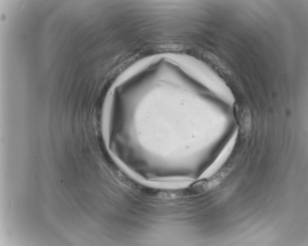 X0000061140764200512091933