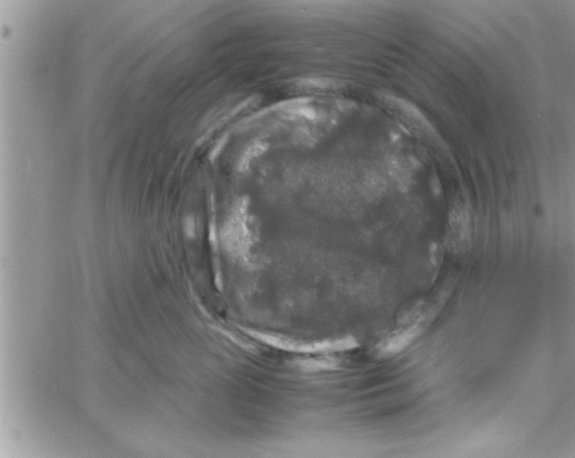 X0000061140765200512091933