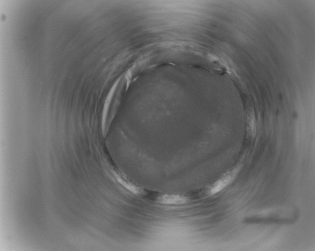 X0000061140766200512091933