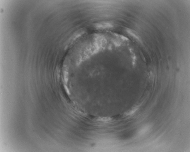 X0000061140767200512091934